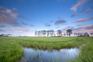 Fototapeta na wymiar blue sky reflected in river on meadows