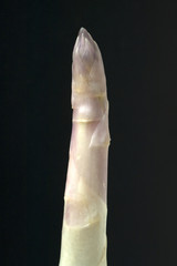 Spargelspitzen, blau,