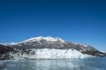 Fototapeta na wymiar Glacier Bay National Park Alaska
