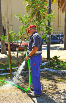 Hombre regando el jard&iacute;n, servicio municipal