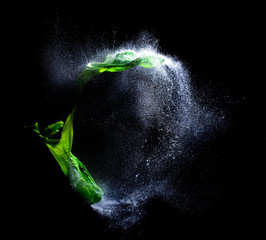  explosions of water balloons hit by a bullet. frozen action from high speed photography. concept...