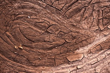 Dry soil closeup before rain