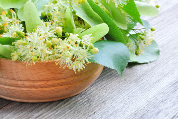 Flowers of linden tree in wooden bowl