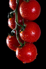 Cherry tomatoes with water drops on black background. 