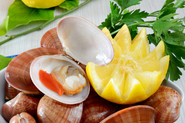 raw sea fruits called fasolari
