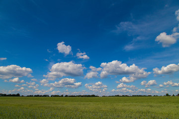 sky and landscape