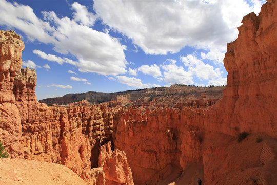 queen's garden trail, Bryce canyon © fannyes
