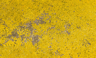 Tracing texture of old yellow saddle