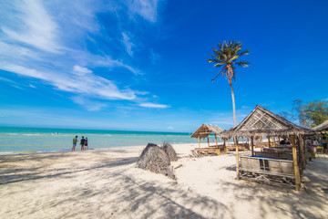 Sea and coconut palms