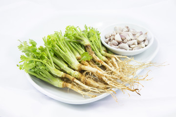 Root of Parsley and Garlic