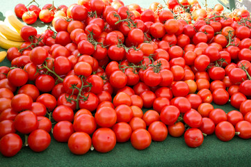 Tomaten