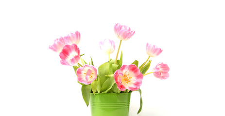 Tulpen im Blumentopf