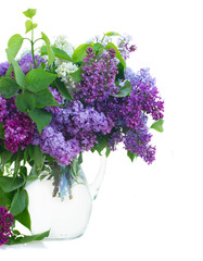 Bunch of Lilac in jar close up