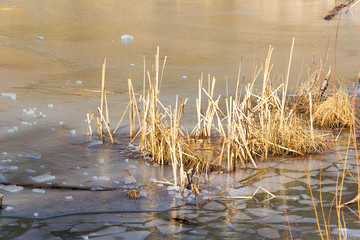 It is icy in New Mexico in winter