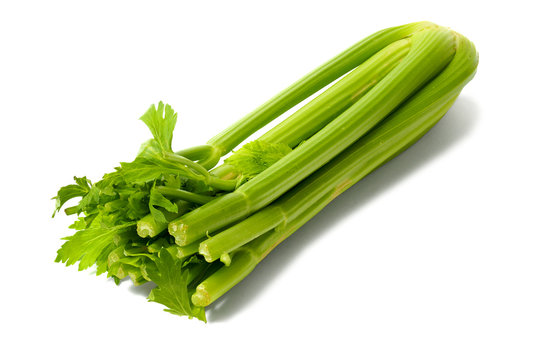 Celery on White