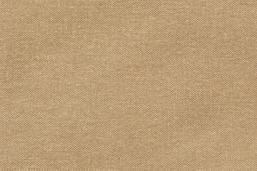 Fototapeta na wymiar Artist's Primed Cotton Canvas Reverse Side Texture Sample