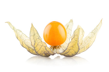 ripe physalis isolated on white background.