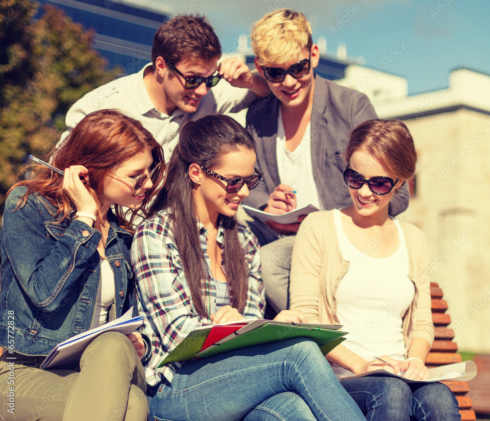 Wall mural group of students or teenagers hanging out