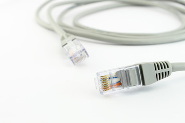 Network cable closeup