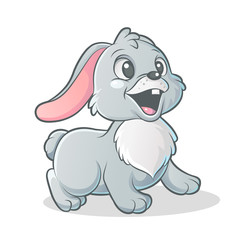 little bunny