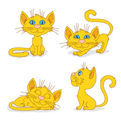 Ginger cats in different poses