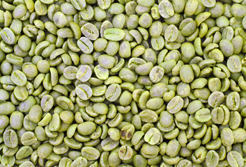 Green Coffee Background