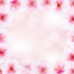 Cherry Flower Frame With Blurred Background