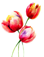 Red Tulips flowers - 65780025