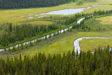 Foto op Plexiglas Marshland river riparian wetland landscape © PiLensPhoto