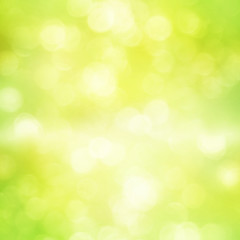 Fototapeta premium Magische Bokeh Landschaft