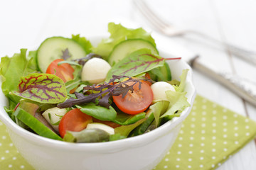 Salad with tomato and mozzarella cheese