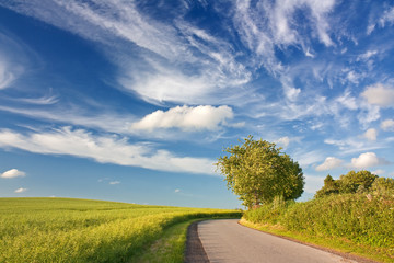 Blauer Himmel mit Wolken über Landschaft mit Rapsfeld