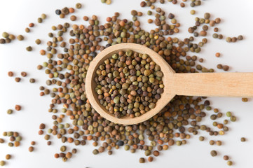 Legume Roveja seeds on a wooden spoon