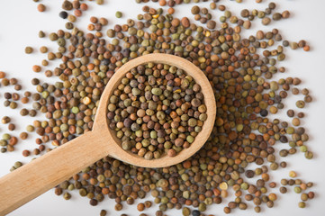 Legume Roveja seeds on a wooden spoon