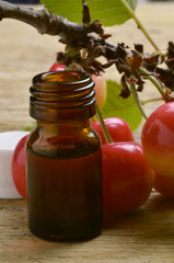 דובדבן Ciliegia Вишня Cerasus Wiśnia Cerisier Cerejeira © Comugnero Silvana