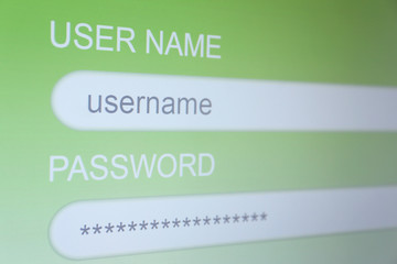 Obraz premium Login and password on monitor screen