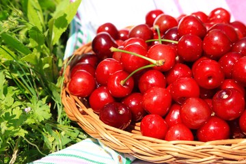 Sweet cherries on wicker stand with napkin on grass background
