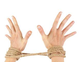Tied hands, isolated  white