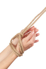 Tied hands, isolated  white