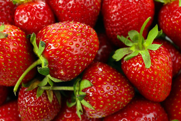 Red ripe strawberries, close up