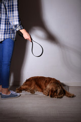 Cruel treatment with dog