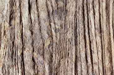 Old wooden background