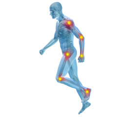 3D human man anatomy with articular pain