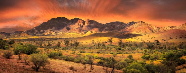 Fotobehang Flinders Beauty © Kwest