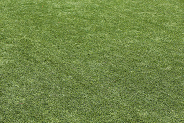 green grass texture background
