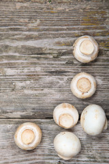 Fototapeta na wymiar Fresh mushrooms