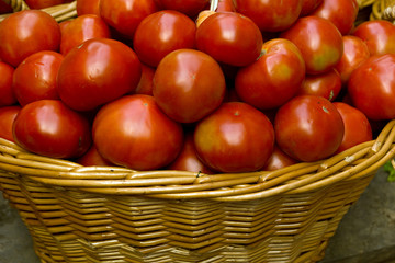 Tomaten im Korb