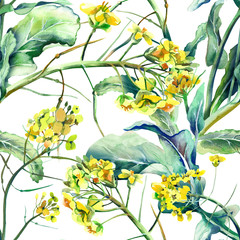 Obraz premium Rapeseed Seamless Pattern