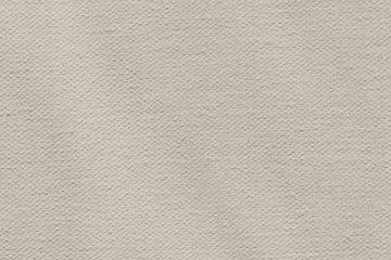 Artist's Primed Cotton Canvas Crumpled Texture Sample