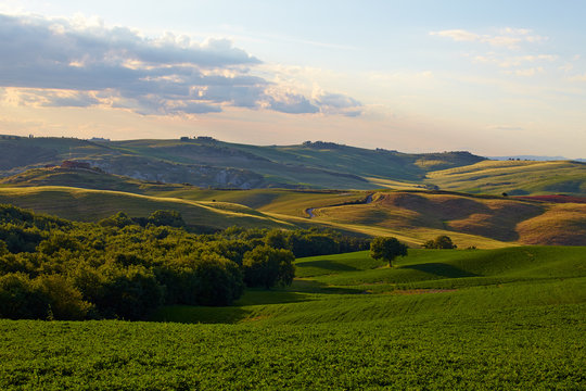 Countryside, San Quirico d`Orcia , Tuscany, Italy